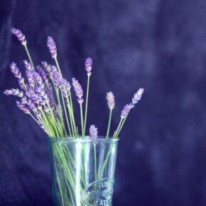 photo by alexander grey on unsplash